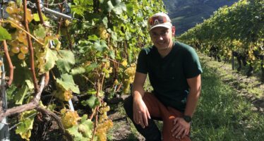 La sucession: Les enfants de la vigne