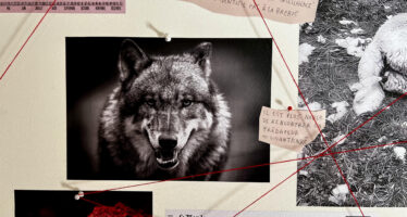 Avec «Présences», le loup s&rsquo;invite au Musée de Bagnes