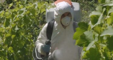 La Suisse s&rsquo;ouvre aux pesticides européens