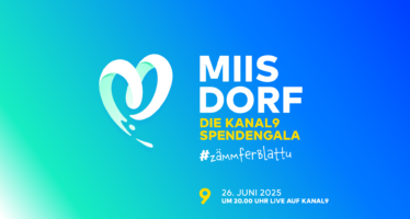 Miis Dorf Die Kanal9 Spendengala #zämmferblattu