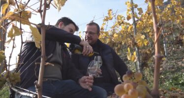 Des policitiens au chevet du monde viti-vinicole